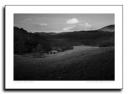 Note Cards - Cades Cove Barn, The Smoky Mountains Collection